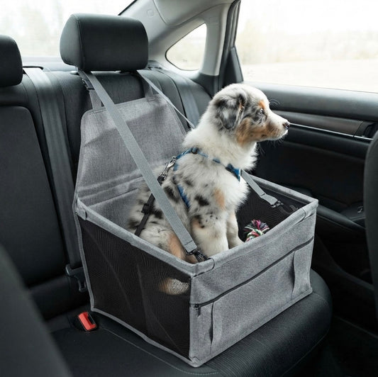 Chien installé confortablement dans son siège auto Dog Rider sur la banquette arrière d'une voiture